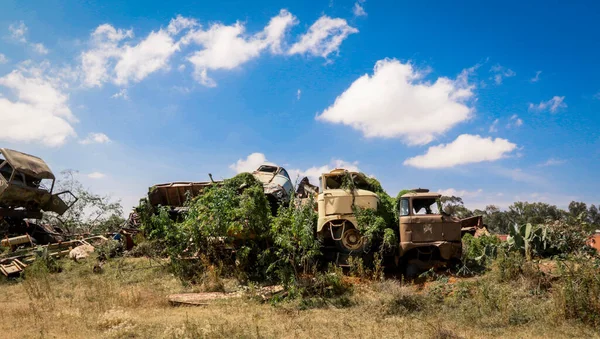 Asmara, Eritre 'deki Tank Mezarlığında Terk Edilmiş Ordu Tankları