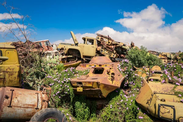 Asmara, Eritre 'deki Tank Mezarlığında Terk Edilmiş Ordu Tankları