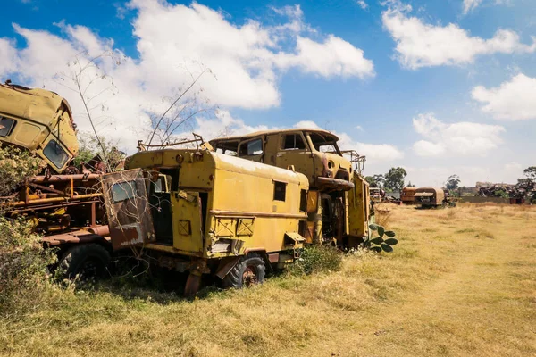 Asmara, Eritre 'deki Tank Mezarlığında Terk Edilmiş Ordu Tankları