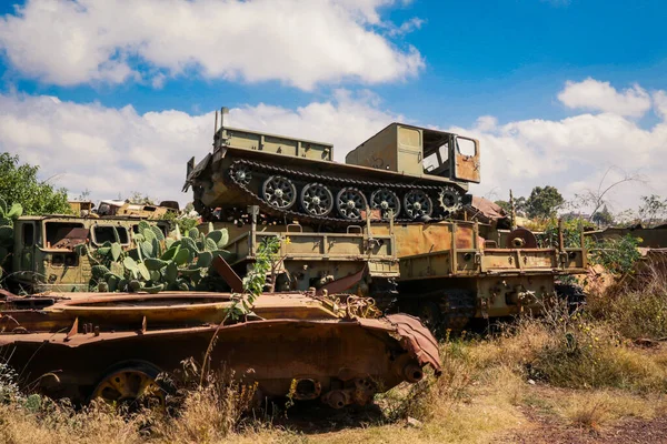 Asmara, Eritre 'deki Tank Mezarlığında Terk Edilmiş Ordu Tankları
