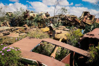 Asmara, Eritre 'deki Tank Mezarlığı' nda Kaktüsler tarafından çevrelenmiş Yok Edilmiş Savaş Makineleri ve Tanklar