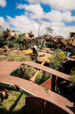 Asmara, Eritre 'deki Tank Mezarlığı' nda Kaktüsler tarafından çevrelenmiş Yok Edilmiş Savaş Makineleri ve Tanklar