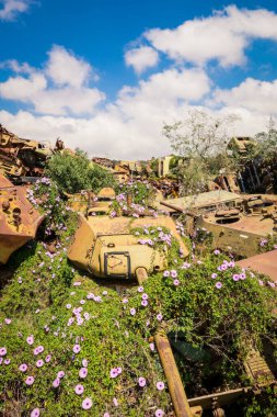 Asmara, Eritre 'deki Tank Mezarlığı' nda Kaktüsler tarafından çevrelenmiş Yok Edilmiş Savaş Makineleri ve Tanklar
