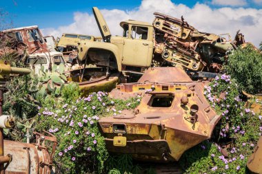 Asmara, Eritre 'deki Tank Mezarlığı' nda Kaktüsler tarafından çevrelenmiş Yok Edilmiş Savaş Makineleri ve Tanklar