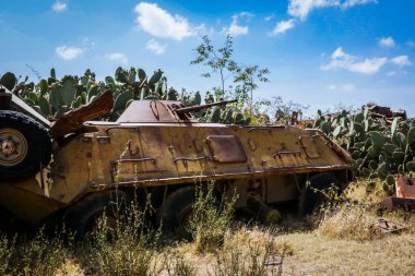 Asmara, Eritre 'deki Tank Mezarlığı' nda Kaktüsler tarafından çevrelenmiş Yok Edilmiş Savaş Makineleri ve Tanklar