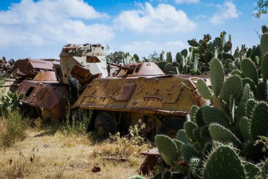 Asmara, Eritre 'deki Tank Mezarlığı' nda Kaktüsler tarafından çevrelenmiş Yok Edilmiş Savaş Makineleri ve Tanklar