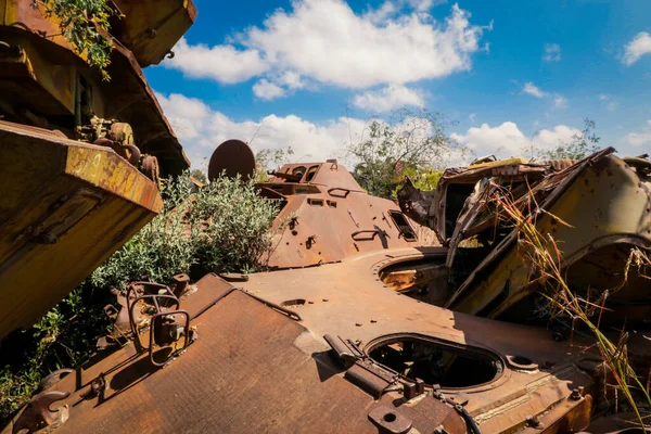 Знищені Воєнні Машини Танки Округлені Кактусами Танковому Кладовищі Асмарі Еритрея — стокове фото