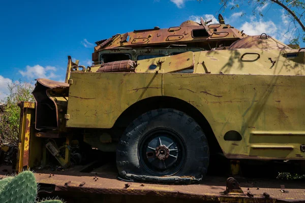 Asmara, Eritre 'deki Tank Mezarlığı' nda Kaktüsler tarafından çevrelenmiş Yok Edilmiş Savaş Makineleri ve Tanklar