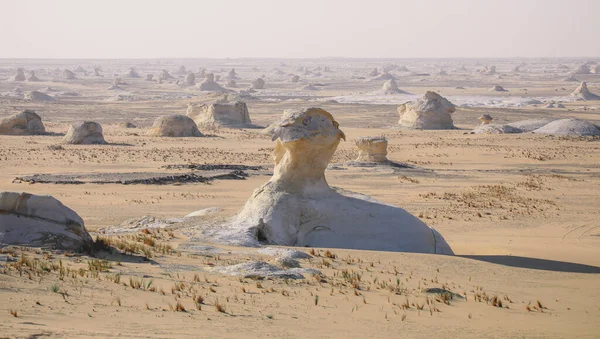 Fantastische Sandformationen White Desert Protected Area Ist Nationalpark Der Oase — Stockfoto