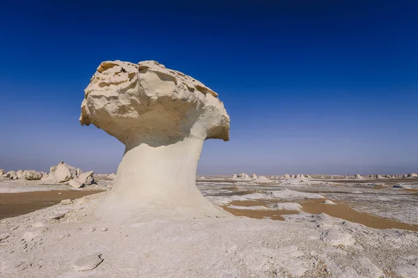 Fantastyczne Formacje Piaszczyste Obszarze Chronionym Białej Pustyni Park Narodowy Oazie — Zdjęcie stockowe