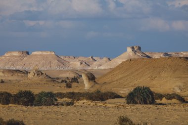 Farafra Oasis, Mısır 'daki Beyaz Çöl Koruma Alanı manzarası