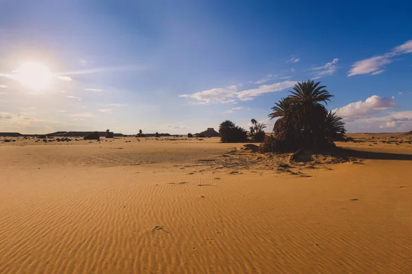Vista Del Paisaje Del Área Protegida Del Desierto Blanco Oasis —  Fotos de Stock
