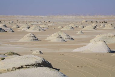 Beyaz Çöl Koruma Alanındaki Sandy Hills, Mısır 'ın Farafra Oasis kentindeki Ulusal Park' tır.