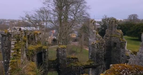 Ruinen Von Mellow Castle Irland — Stockvideo