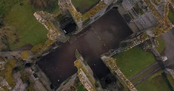 Ruïnes Van Mellow Castle Ierland — Stockvideo