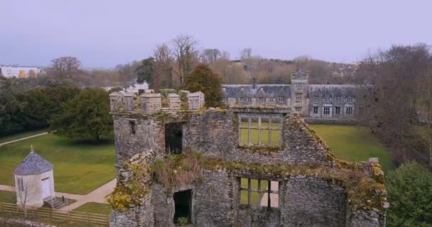 Rovine Del Castello Mellow Irlanda — Video Stock