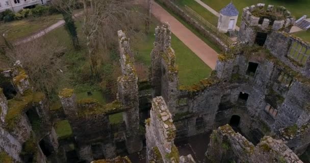Ruïnes Van Mellow Castle Ierland — Stockvideo