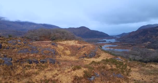 Ladies View Killarney National Park Irland — Stockvideo