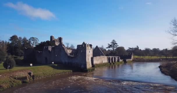 Vista Aérea Das Ruínas Castelo Desmond Adare Irlanda — Vídeo de Stock