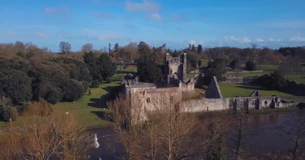 Vista Aérea Das Ruínas Castelo Desmond Adare Irlanda — Vídeo de Stock