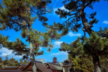 Japonya 'nın Miyajima Adası' ndaki Itsukushima caddelerinin güzel şehir manzarası.