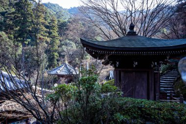 Miyajima, Japonya - 02 Ocak 2020: Yürüyen Turistlerin ve İtsukushima sokaklarının manzarası