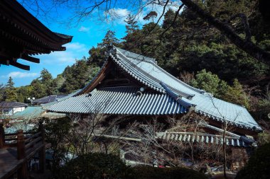 Miyajima, Japonya - 02 Ocak 2020: Yürüyen Turistlerin ve İtsukushima sokaklarının manzarası