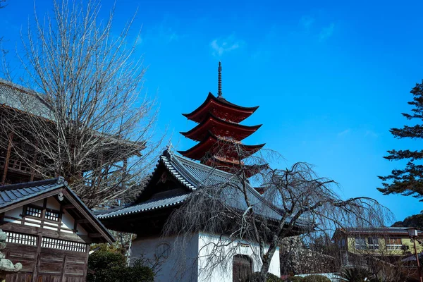 Miyajima Japan January 2020 Cscape Walking Tourists Itsukushima Streets — 图库照片