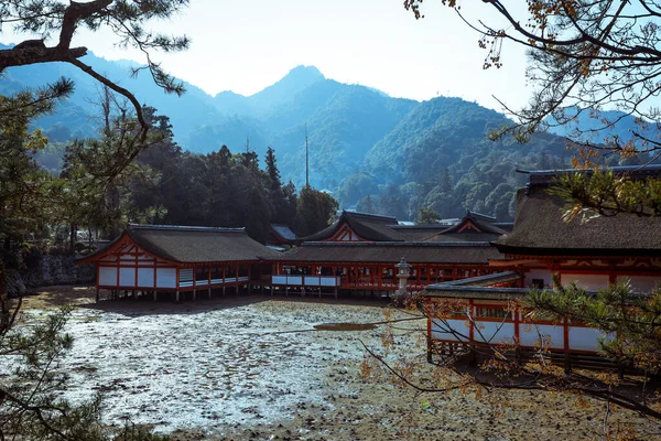 Miyajima Japonya Ocak 2020 Yürüyen Turistlerin Tsukushima Sokaklarının Manzarası — Stok fotoğraf