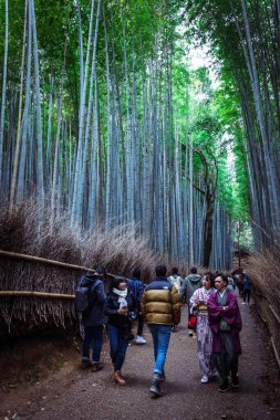 Kyoto, Japonya - 3 Ocak 2020: Bambu Ormanı 'nda yürüyen turistler
