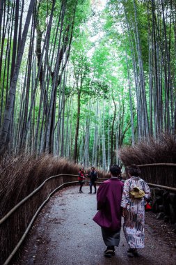 Japonya 'daki Kyoto Bambu Ormanı' nda Huzur Yürüyüşü