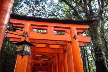 Kyoto, Japonya - 08 Ocak 2020: Binlerce Vermilion Büyük Torii Kapısı