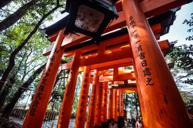 Kyoto, Japonya - 08 Ocak 2020: Binlerce Vermilion Büyük Torii Kapısı