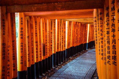 Kyoto, Japonya - 08 Ocak 2020: Binlerce Vermilion Büyük Torii Kapısı
