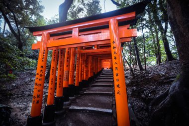 Kyoto, Japonya - 08 Ocak 2020: Binlerce Vermilion Büyük Torii Kapısı