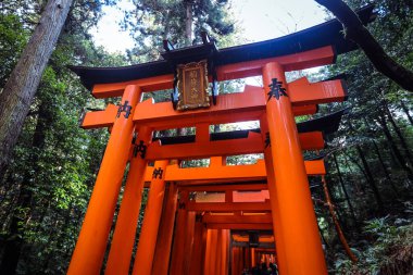 Kyoto, Japonya - 08 Ocak 2020: Binlerce Vermilion Büyük Torii Kapısı