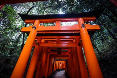 Kyoto, Japonya - 08 Ocak 2020: Binlerce Vermilion Büyük Torii Kapısı