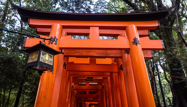 Kyoto Giappone Gennaio 2020 Dalle Migliaia Porte Del Vermiglio Grandi — Foto Stock