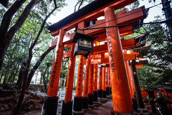 Kyoto Giappone Gennaio 2020 Dalle Migliaia Porte Del Vermiglio Grandi — Foto Stock