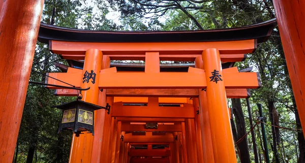Kyoto Japón Enero 2020 Lejos Las Miles Puertas Del Bermellón —  Fotos de Stock