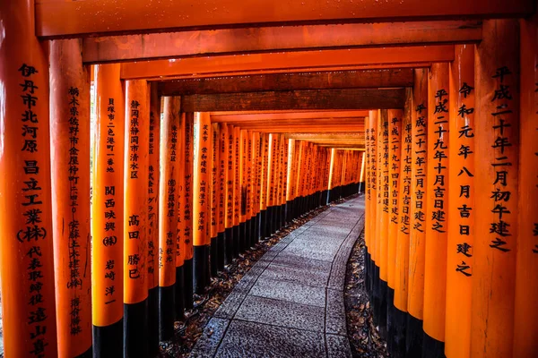 Kyoto, Japonya - 08 Ocak 2020: Binlerce Vermilion Büyük Torii Kapısı