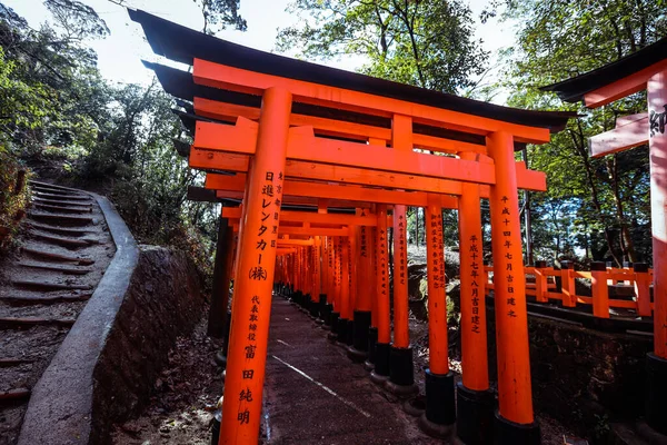 Kyoto Japon Janvier 2020 Chemin Des Milliers Portes Vertes Torii — Photo