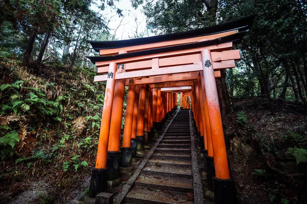 Kyoto Giappone Gennaio 2020 Dalle Migliaia Porte Del Vermiglio Grandi — Foto Stock