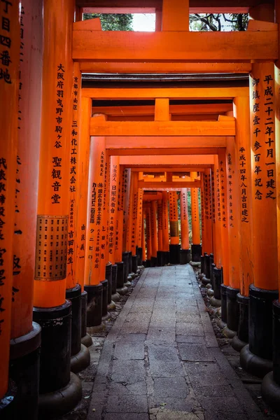 京都府 2020年1月8日朱色の大鳥居からの道 — ストック写真