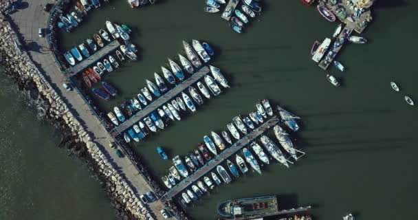 Port Boats Akko Aerial View Israel — Stock Video