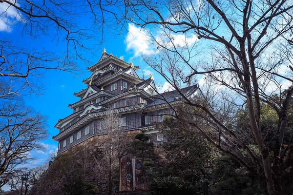 Okayama Japán Január 2020 Amazing View Japanese Castle Trees Blue — Stock Fotó