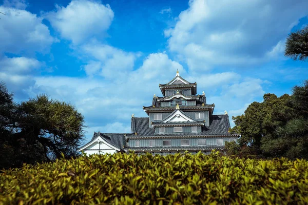 Okayama Japonia Stycznia 2020 Niesamowity Widok Zamek Japoński Przez Drzewa — Zdjęcie stockowe