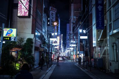 Osaka, Japonya - 11 Ocak 2020: Osaka Gece Hayatı 'ndaki Geleneksel Japon Sokaklarının Aydınlanmış Resmi