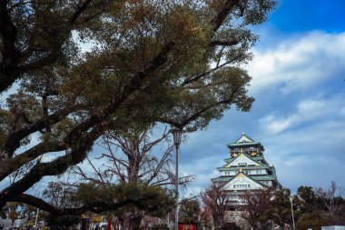 Mavi Gök ve Ağaçların Altındaki Günbatımı Şatosu 'na bak, Japonya