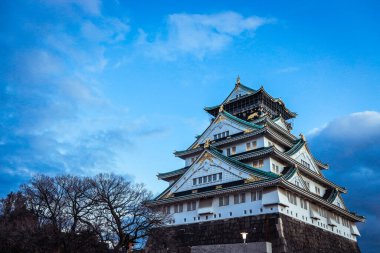 Mavi Gök ve Ağaçların Altındaki Günbatımı Osaka Şatosu, Japonya